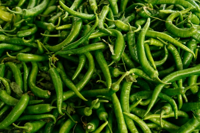 Organic Lila Marcha (green chilli)100g - લીલા મરચા
