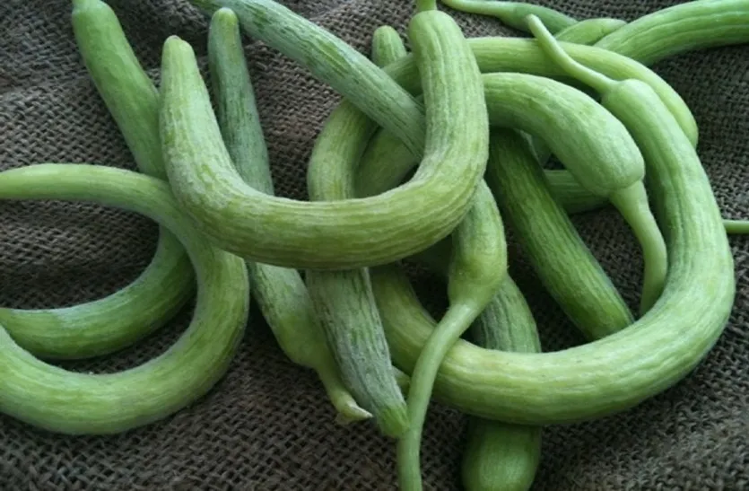 Organic Desi Kakadi (cucumber) 500gm - દેશી કાકડી
