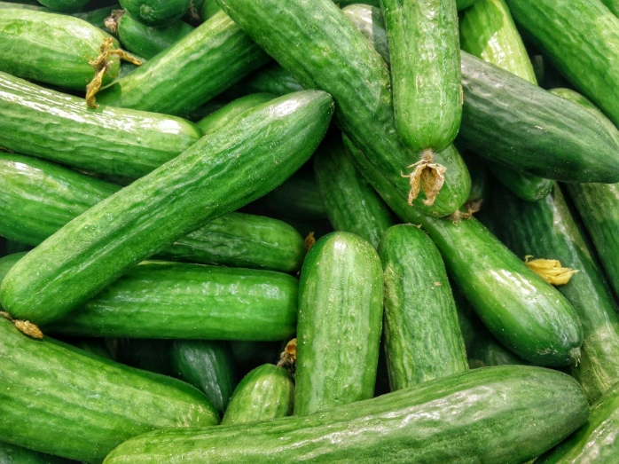 Organic Kheera Kakadi (kheera cucumber) 500gm - ખીરા કાકડી