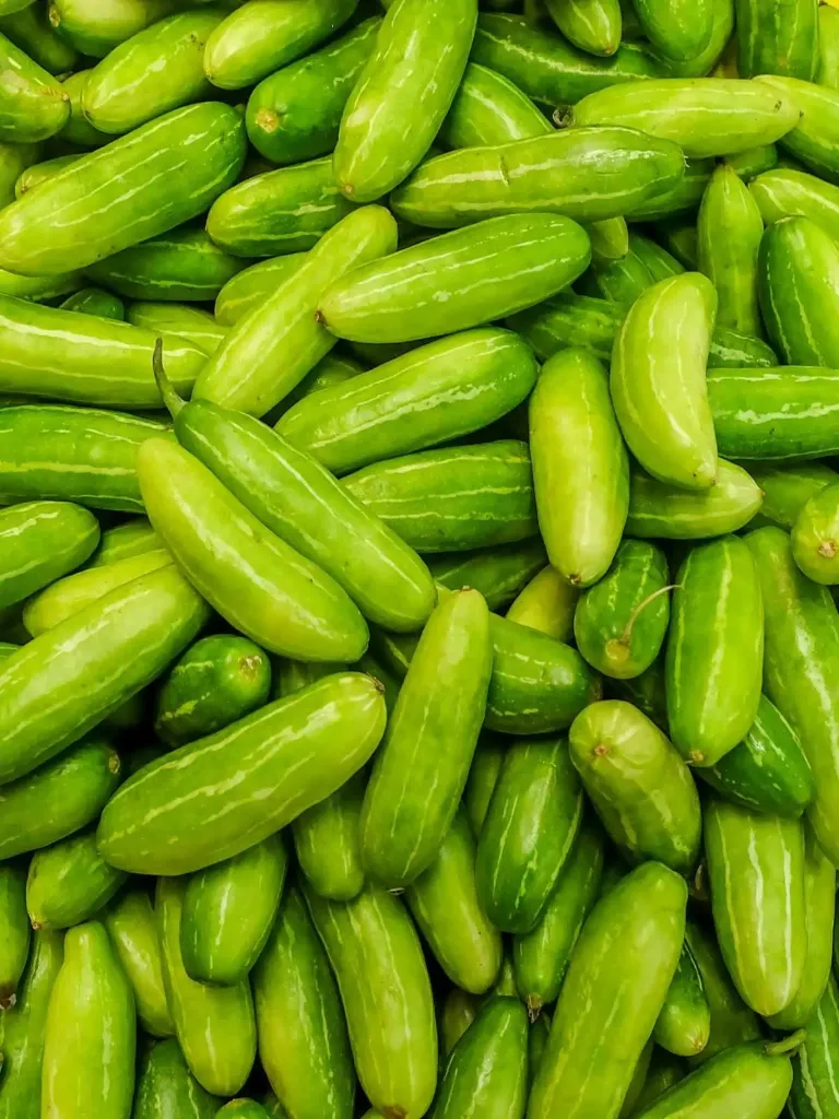 Organic Tindora-Gilodi (ivy gourd) 250gm - ટીન્ડોરા or ગીલોડી